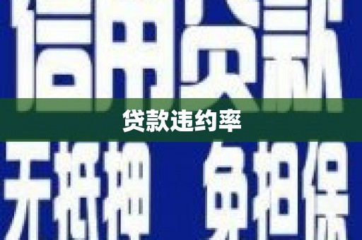 狮潭贷款违约率