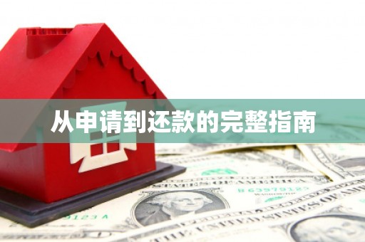 长寿从申请到还款的完整指南