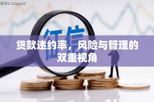 浔阳贷款违约率，风险与管理的双重视角