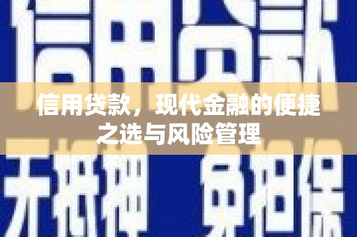 广水信用贷款，现代金融的便捷之选与风险管理