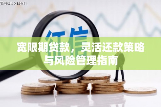 雨花宽限期贷款，灵活还款策略与风险管理指南