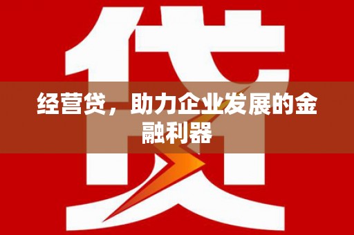 麦寮经营贷，助力企业发展的金融利器