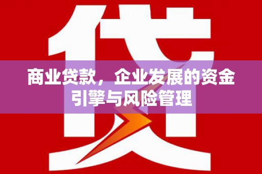 灌阳商业贷款，企业发展的资金引擎与风险管理