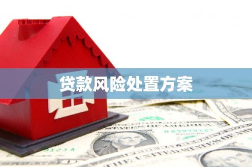 兰考贷款风险处置方案