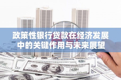 荣县政策性银行贷款在经济发展中的关键作用与未来展望