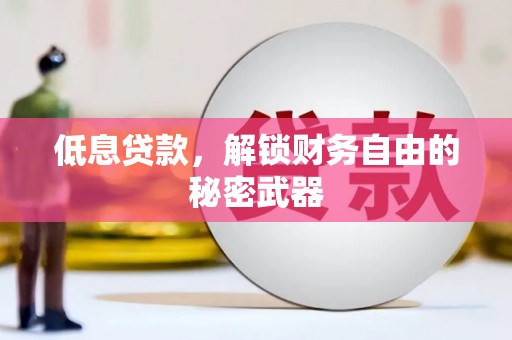 海东低息贷款，解锁财务自由的秘密武器