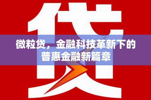 士林微粒贷，金融科技革新下的普惠金融新篇章