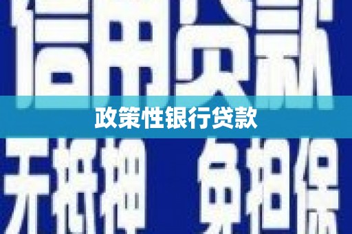 新抚政策性银行贷款
