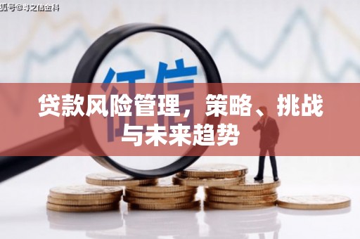 五河贷款风险管理，策略、挑战与未来趋势