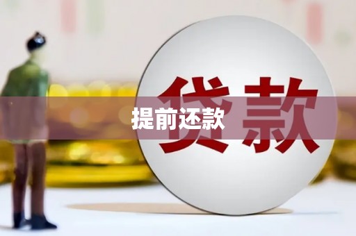 绥滨提前还款