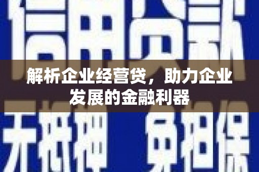 金阳解析企业经营贷，助力企业发展的金融利器