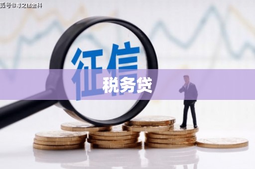 宣汉税务贷