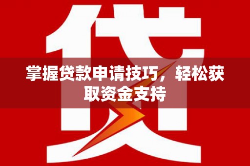 仙游掌握贷款申请技巧，轻松获取资金支持