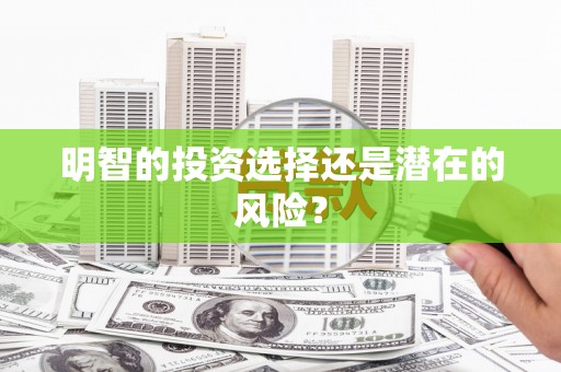 射阳明智的投资选择还是潜在的风险？