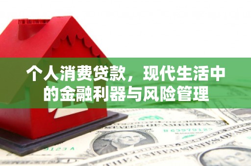 云浮个人消费贷款，现代生活中的金融利器与风险管理