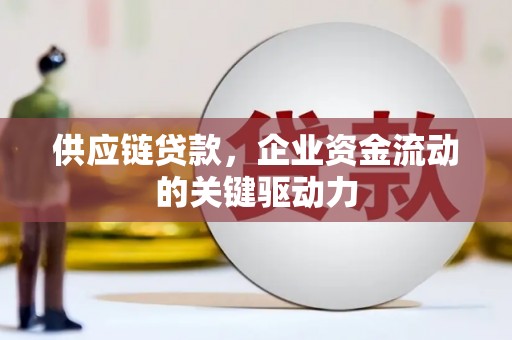 雷州供应链贷款，企业资金流动的关键驱动力
