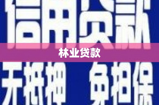 彬县林业贷款