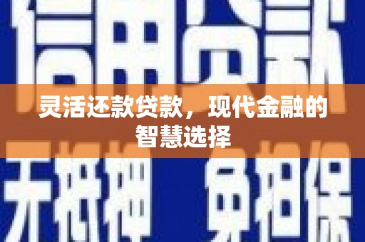 长滨灵活还款贷款，现代金融的智慧选择