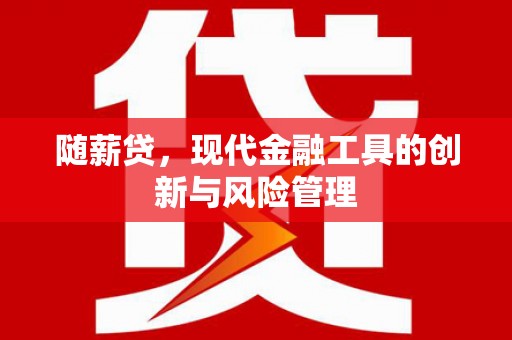 松溪随薪贷，现代金融工具的创新与风险管理