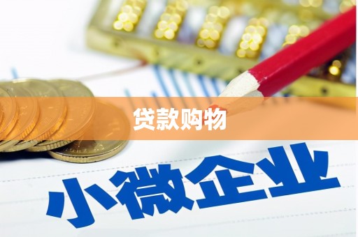 曾都贷款购物