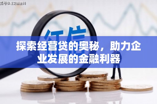 桃江探索经营贷的奥秘，助力企业发展的金融利器