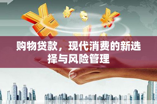 芦洲购物贷款，现代消费的新选择与风险管理