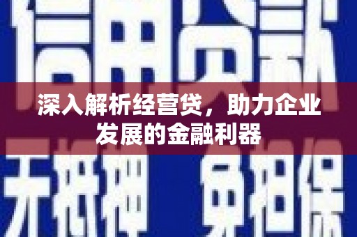 崖州深入解析经营贷，助力企业发展的金融利器