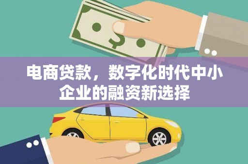 邯郸电商贷款，数字化时代中小企业的融资新选择
