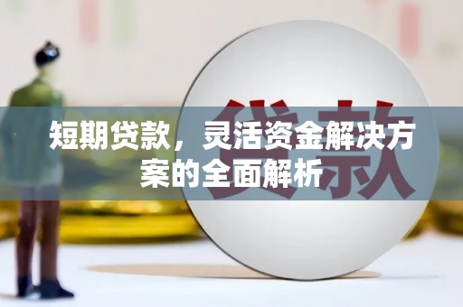 迭部短期贷款，灵活资金解决方案的全面解析