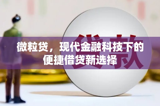 全南微粒贷，现代金融科技下的便捷借贷新选择