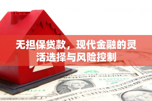 沙湾无担保贷款，现代金融的灵活选择与风险控制