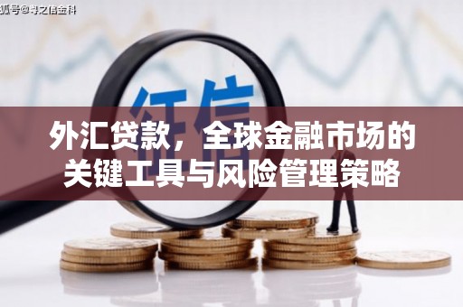 连江外汇贷款，全球金融市场的关键工具与风险管理策略