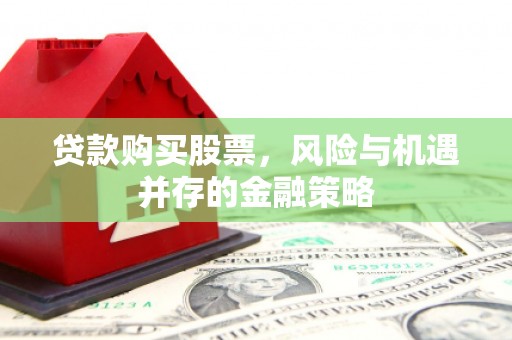贞丰贷款购买股票，风险与机遇并存的金融策略