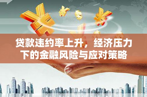 南丹贷款违约率上升，经济压力下的金融风险与应对策略
