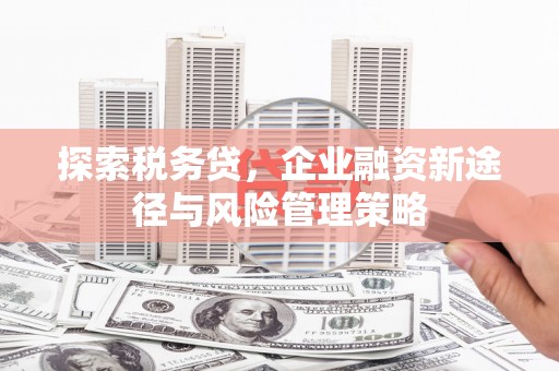 嵊泗探索税务贷，企业融资新途径与风险管理策略