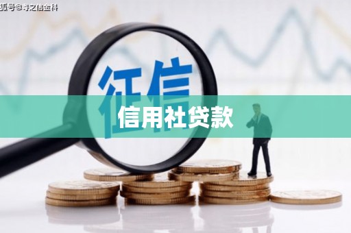 顺庆信用社贷款