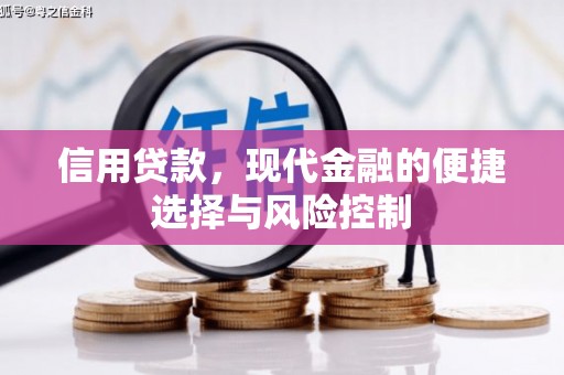 宽甸信用贷款，现代金融的便捷选择与风险控制