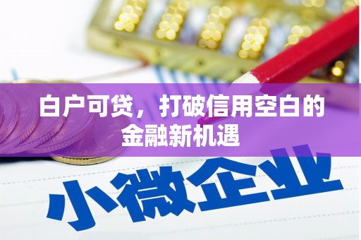 泸水白户可贷，打破信用空白的金融新机遇