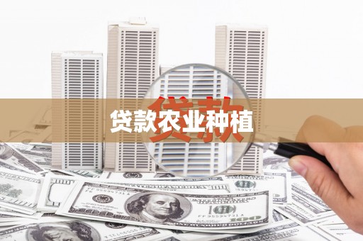 关西贷款农业种植