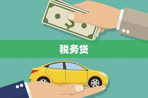 陆川税务贷