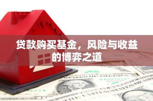 天元贷款购买基金，风险与收益的博弈之道