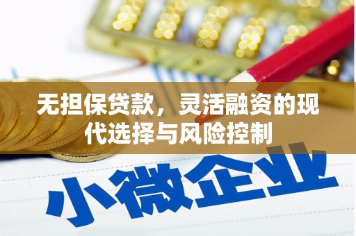 苑里无担保贷款，灵活融资的现代选择与风险控制