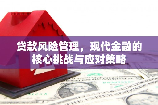 七堵贷款风险管理，现代金融的核心挑战与应对策略