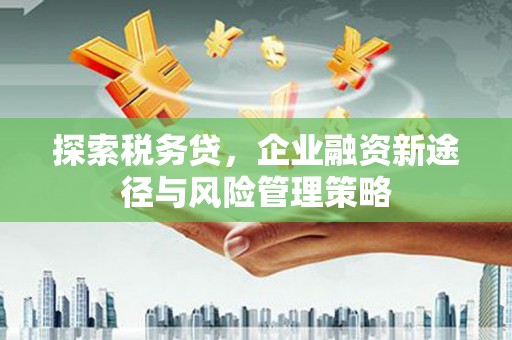 鲅鱼圈探索税务贷，企业融资新途径与风险管理策略
