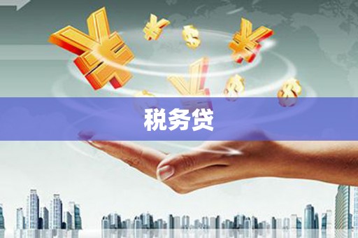 巍山税务贷