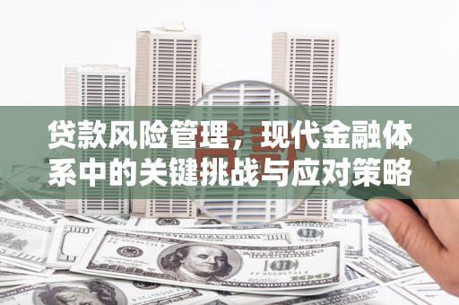 白云鄂博矿区贷款风险管理，现代金融体系中的关键挑战与应对策略