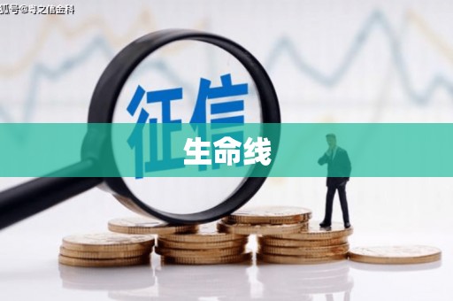 庄河生命线