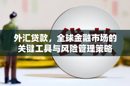 汪清外汇贷款，全球金融市场的关键工具与风险管理策略