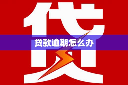 徐汇贷款逾期怎么办