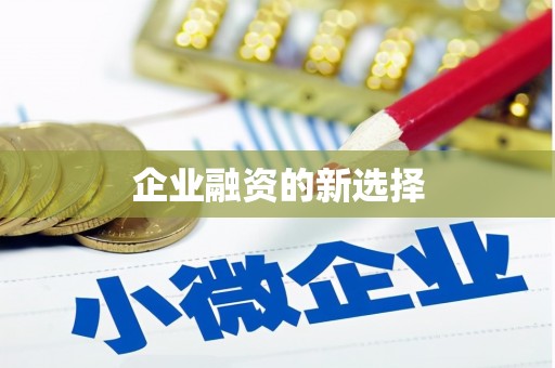 甘井子企业融资的新选择